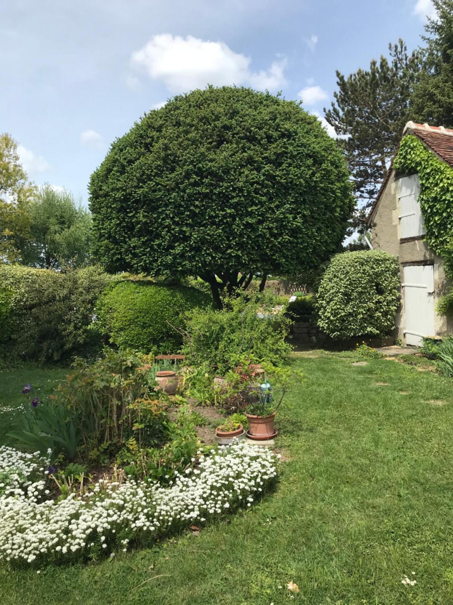 La Mauverniere, 2 Gites Independants, 1 Grande Piscine Exterieure, Jardin Arbore Descartes Extérieur photo