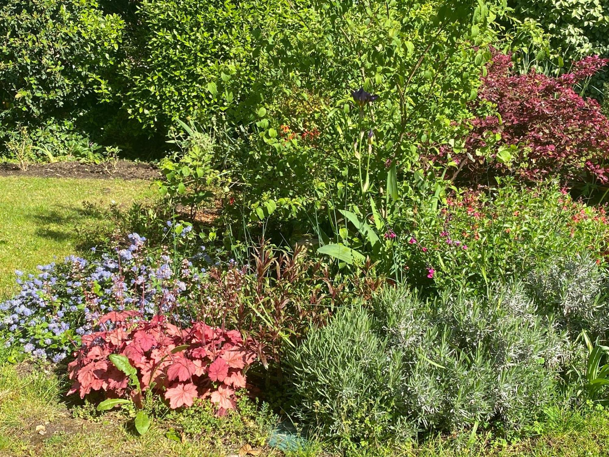 La Mauverniere, 2 Gites Independants, 1 Grande Piscine Exterieure, Jardin Arbore Descartes Extérieur photo